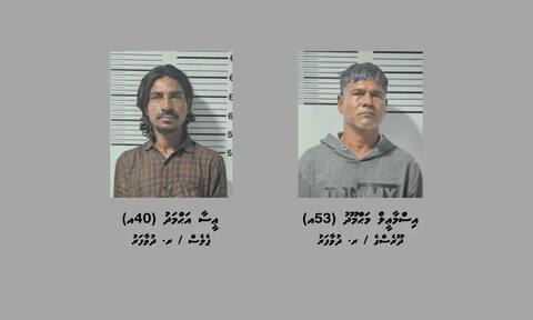 ދުވާފަރަށް މަސްތުވާތަކެތި އެތެރެކުރަން އުޅުނު ދެ މީހަކު ހައްޔަރުކޮށް ބަންދު ޖަހައިފި