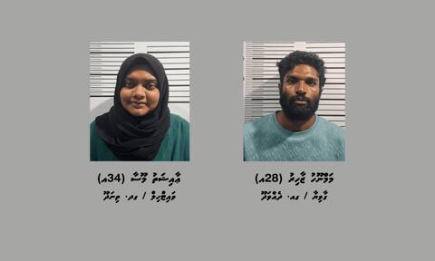 ދެއްވަދުއަށް މަސްތުވާތަކެތި އެތެރެކުރަން އުޅުނު ދެ މީހަކު ހައްޔަރުކޮށްފި