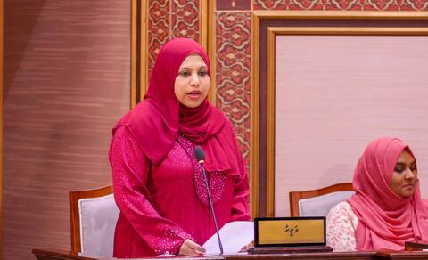 ބޮޑެތި އިންވެސްޓްމަންޓްތަކާ ދެކޮޅަށް ފިތުނަ ނުފެތުރުމަށާއި ޤައުމީ މަސްލަޙަތު އިސްކުރުމަށް ހީނާ އިލްތިމާސްކުރައްވައިފި