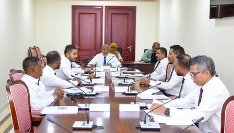 ކައުންސިލްތަކުގެ ބިން ސަރުކާރަށް ނެގޭ ބިލު ނިންމާ ތާރީހު ބުރާސްފަތި ދުވަހަށް ފަސްކޮށްފި
