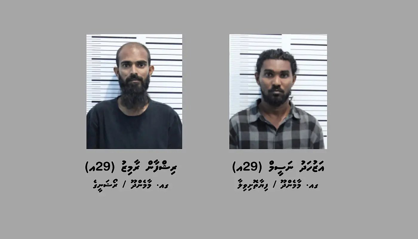 ގއ. އަތޮޅަށް މަސްތުވާތަކެތި އެތެރެކުރާ ނެޓްވޯކެއްގެ އިސް ދެ މީހުން އަތުލައިގަނެފި